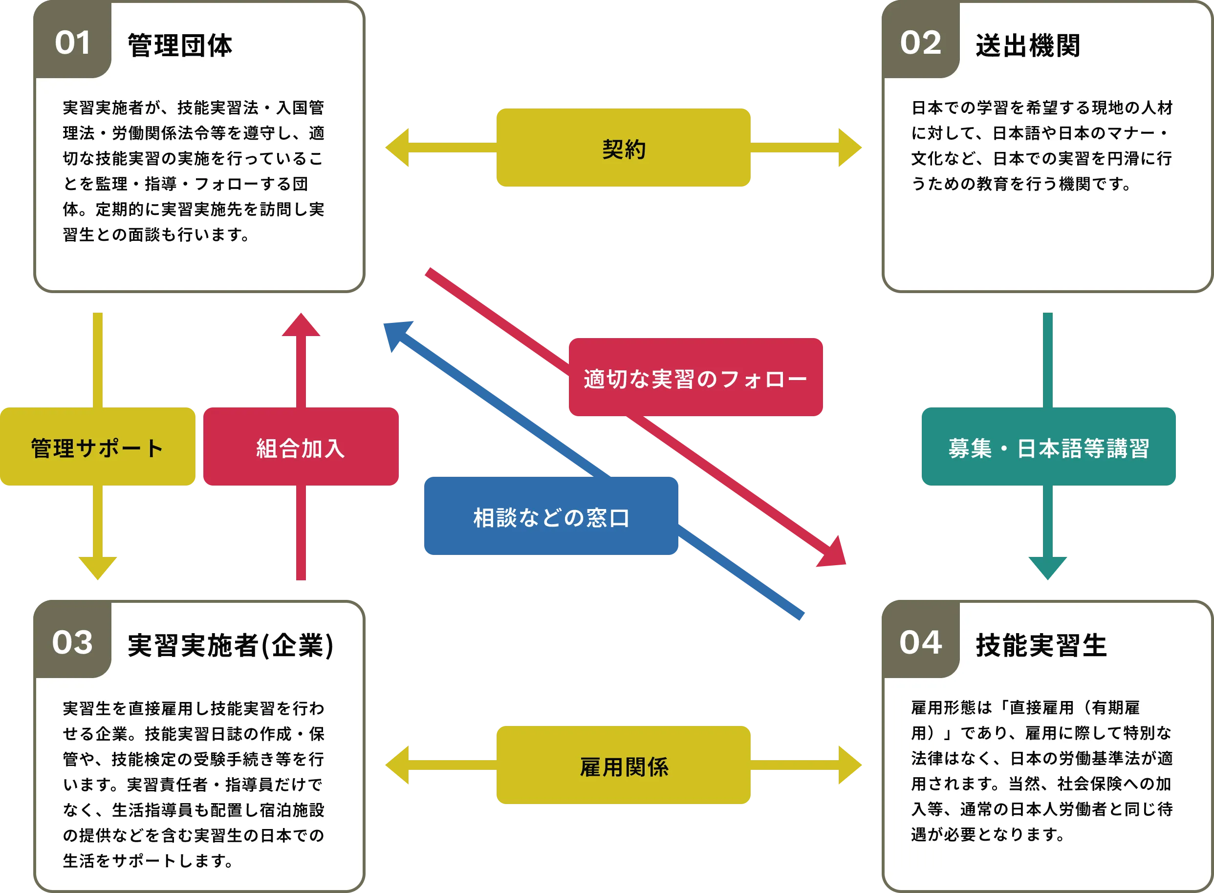 技能実習制度の関係図